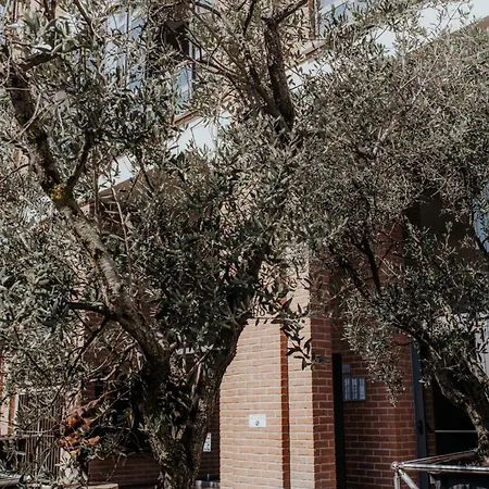 Guesthost - Mecenate Bright Appartement